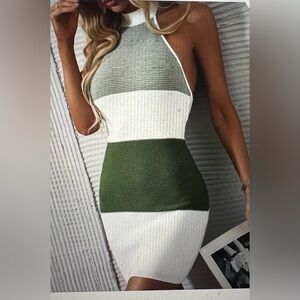 Women’s Sleeveless Backless Colorblock Knit Mini Dress – Size L (NWOT)